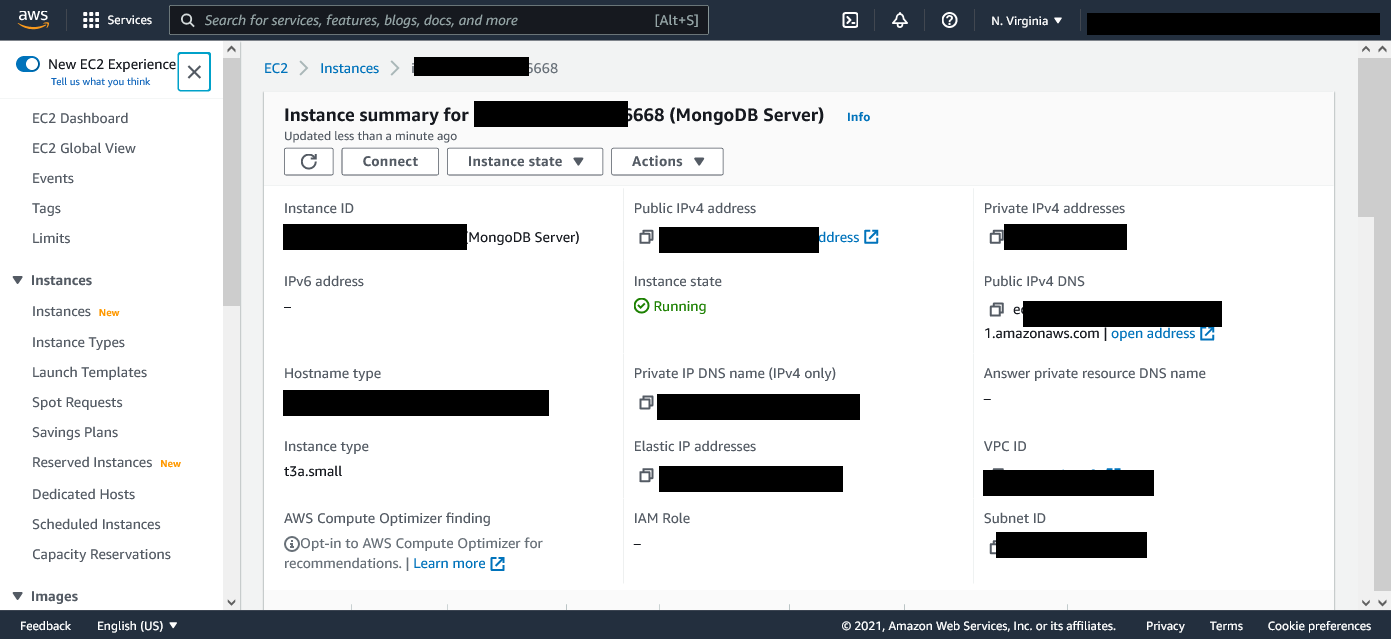 MongoDB Instance