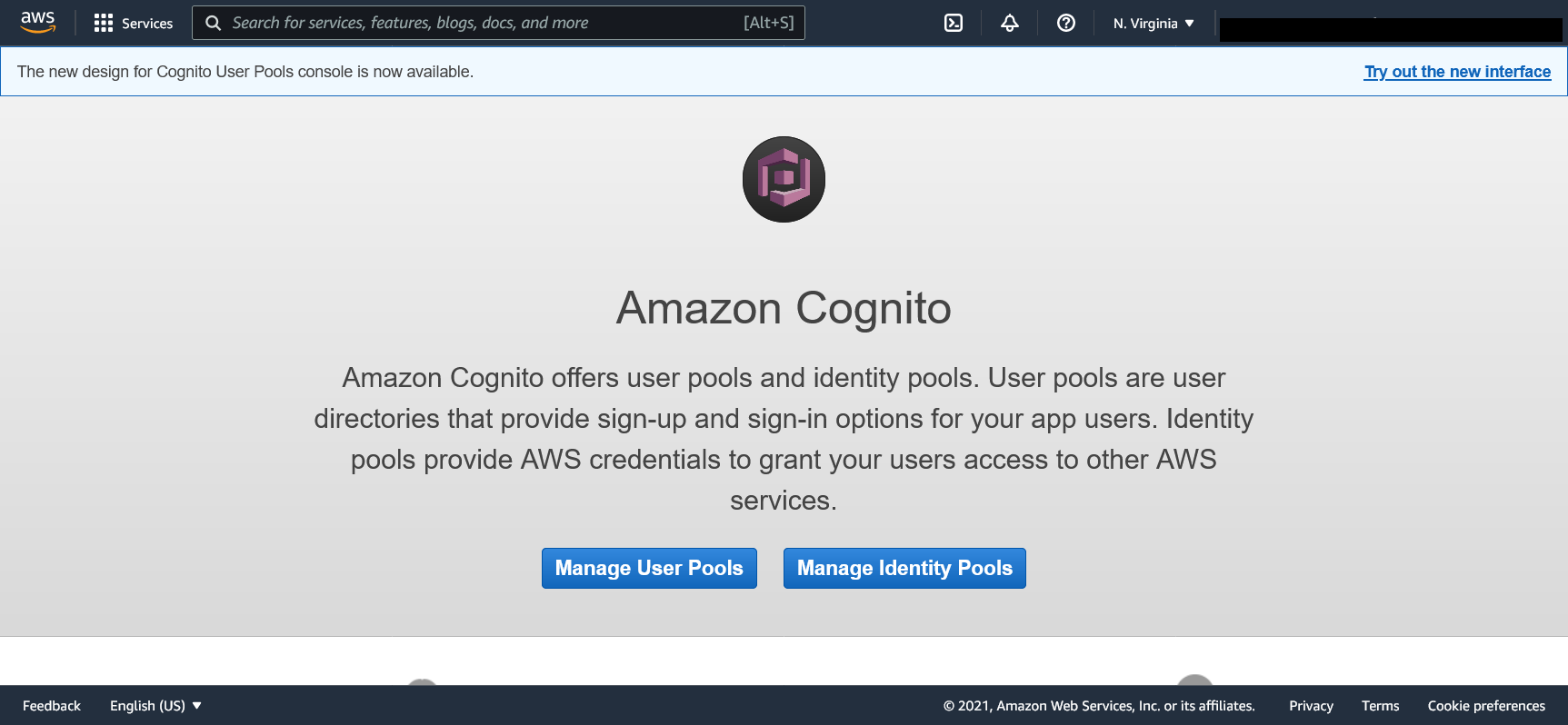 Cognito Landing Page